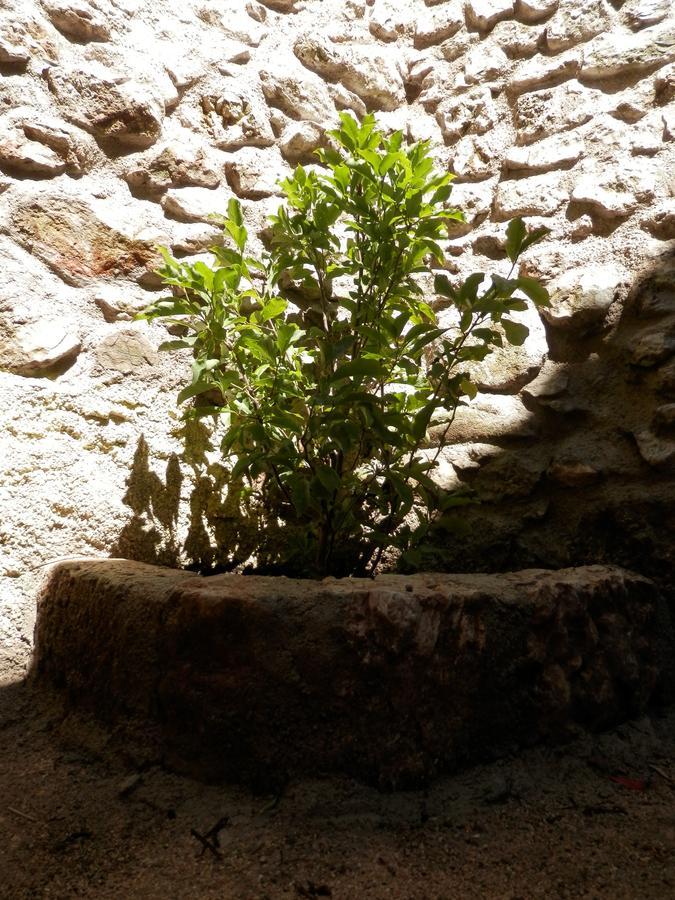 Cali B&B Alatri ภายนอก รูปภาพ